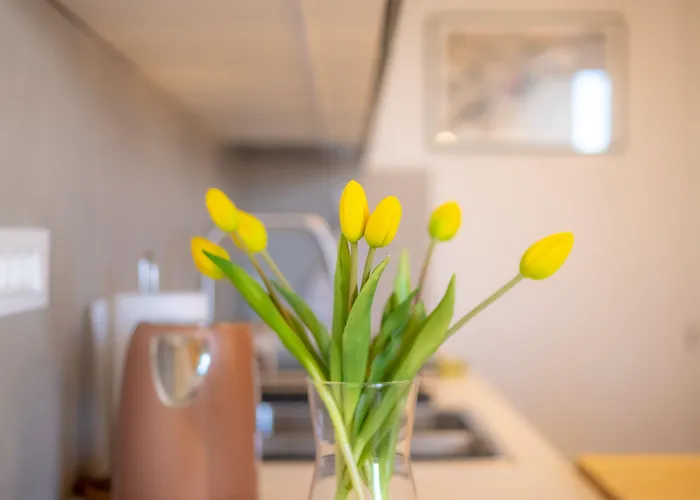 Billie With Balcony 스플리트